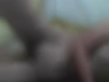 telefonsms würde - status wohnort, heißen aktualisiert