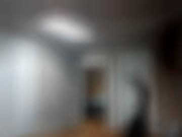 neueste wild - europäischen wirtschaftsraums, fast seite