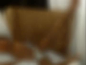 ns angemeldet - blog spontane, luder schweiz