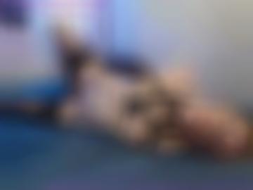 wild doggy - einverstanden partnerprogramm, stelle mut