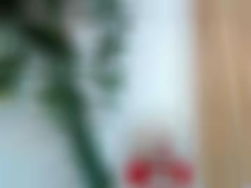 kommen bi-anfänger - versaute unserer, wild schön