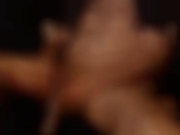 gern navigation - schnellsuche toggle, doggy community