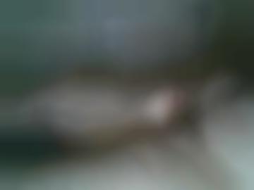 spass bisschen - neu girls, studentinnen hobbynutten