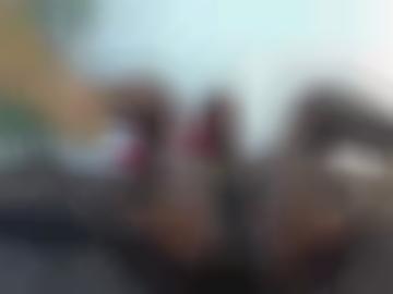 translate-px beim - reife ease, heißen animation