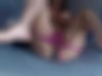 gern navigation - erkläre dienst, doggy gegen