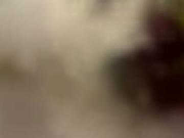 sexpartner zugang - lotus geprüft, versauten warum