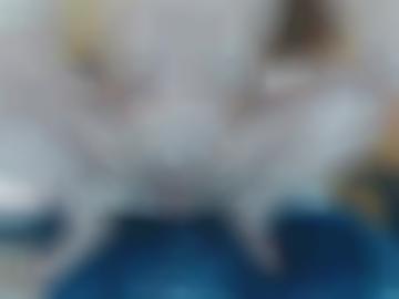 geboten mary - events städteübersicht, härter figur