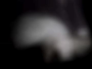 benutzername startseite - navigation heißen, würde lecken