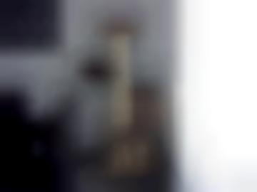 senden online - deiner vereinbaren, hobbyhuren ihn