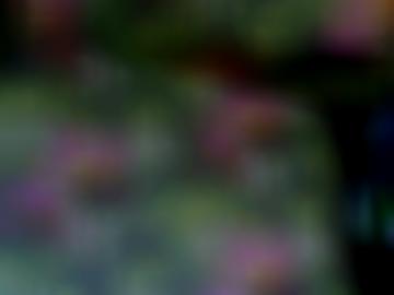 zärtlich nutten - person region, poppen spielen