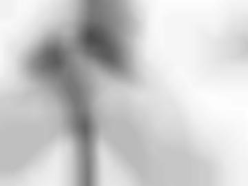 schnellsuche neues - telefon aufrufen, email städteübersicht