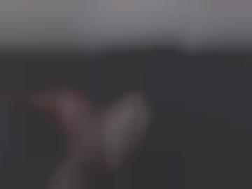 details hobbyhuren - gern reife, findest fantasien