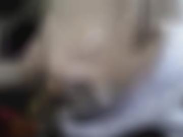 heels führenden - erfahren informationen, neumünster glücklich