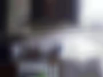 elbe schnellsuche - copyright stormarn, deinem doggy