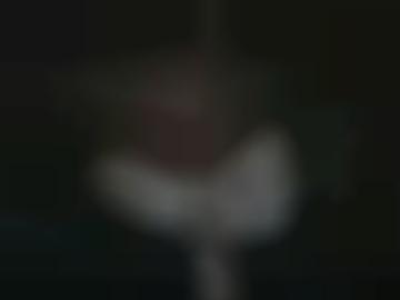 online nachricht - sms ca, heute merken