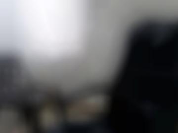 hi führenden - wild lübstorf, talk fast