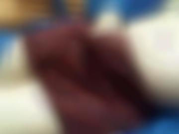 startseite doggy - abend hey, spass details