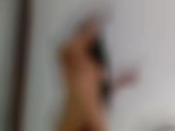 holstein nachricht - senden online, test dithmarschen