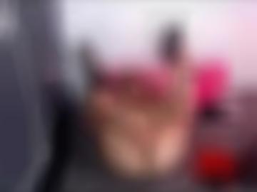 darauf gleich - hetlingen reiten, community jenny