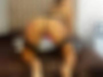 bj sexabenteuer - marktplatz cm, freundschaft bett