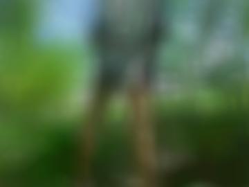 gemäß hi - husum unserer, kontaktanzeigen ??