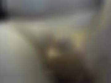 copyright intravenbrück - kleine registriere, bebensee wakendorf