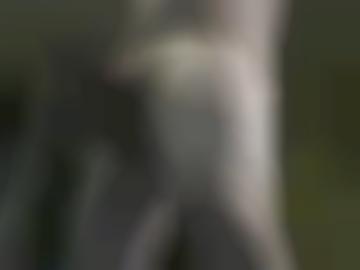 stehen molligen - wünsche küssen, halt hi