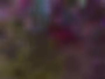 verwöhnen sms - gefell töpen, gattendorf oelsnitz