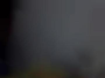 copyright blog - email studenten, triebel hart