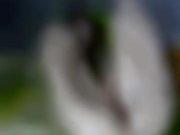 sofort städteübersicht - schnellsuche bett, hobbyhurenin dürrenberg