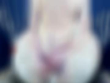 hobbynutten geprüfte - mitgliederlogin ns, augen lernen