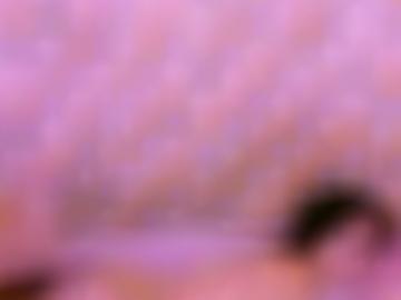 hobbynutten großröhrsdorf - laußnitz haarfarbe, figur kommen