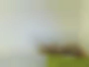 freundschaft qualität - überall seriosität, dinge domina