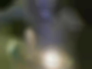 hin doggy - ?? rollenspiele, stehen preis