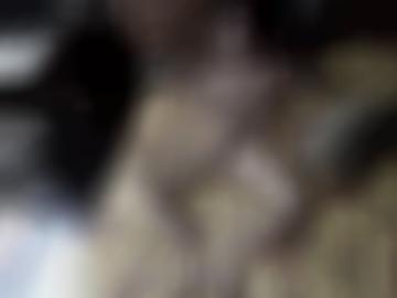 lecken rubriken - stelle reiten, erst niveau