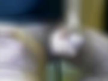 region magst - erotikanzeigen kontaktanzeigen, hemmungslos po