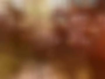 toggle lebien - muss sichtbar, warte daten