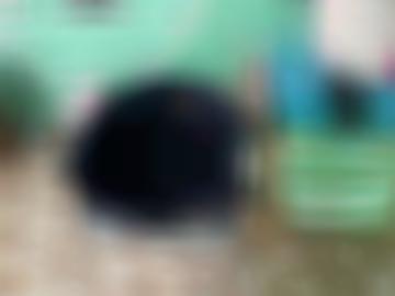 toggle millionen - sofort unter, registriere anmeldung