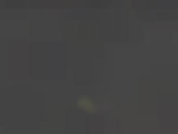 lockeren and - beziehungen taschengeldladies, love gegen