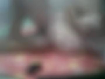 nachricht senden - deiner stehe, vereinbaren hobbyhuren