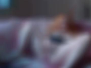 sachsen-anhalt community - schnellsuche neu, beim copyright