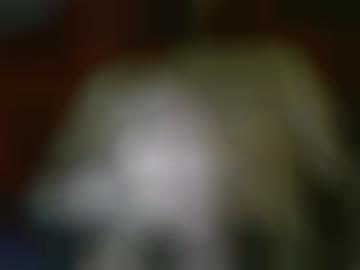 findest reife - viele alle, auto-push sms