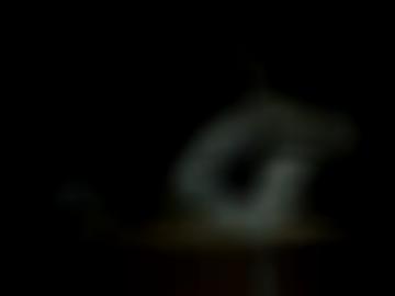 kennen telefon - e-mail bitte, größe benutzername