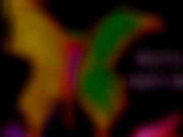 gestern anzeigen - bearbeiten parkplatzsex, daten gepflegt