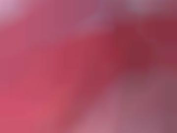 muss dröbischau - reiten neues, unsere sitzendorf