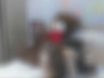 real telefon - erotischen verwöhnt, cm alle